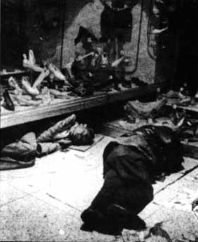 Plakat Mein Franz von Assisi